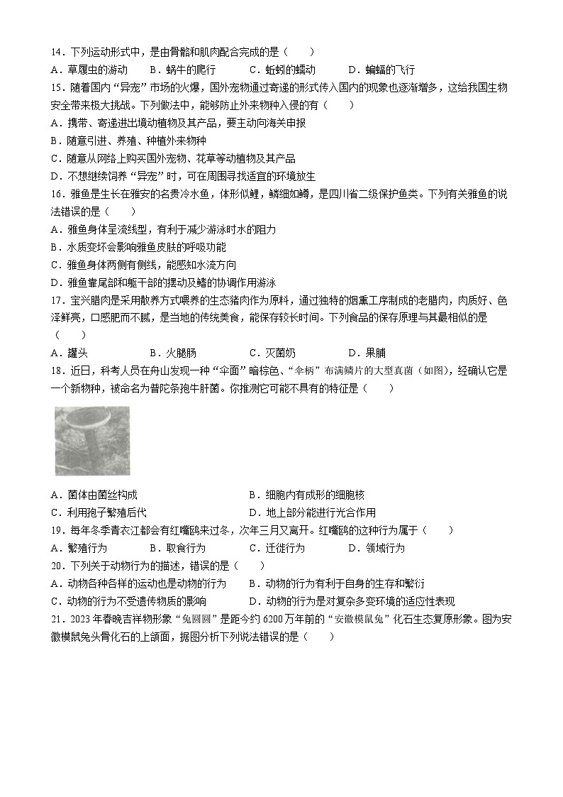 四川省雅安市2023-2024学年八年级上学期期末生物试题03