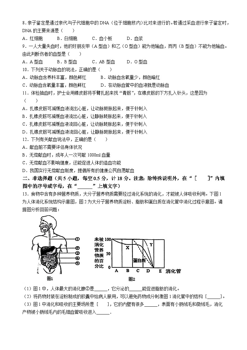辽宁省抚顺市2023-2024学年七年级下学期3月考生物试题02
