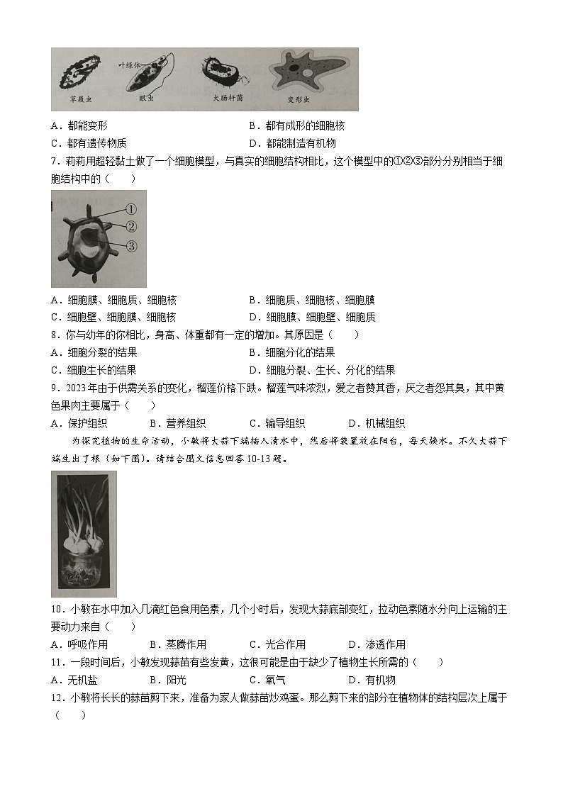 山西省晋城市阳城县2023-2024学年七年级上学期期末生物试题第2页