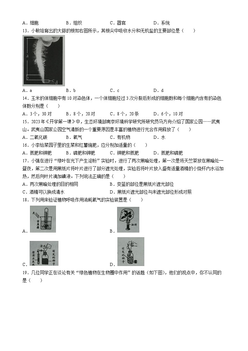 山西省晋城市阳城县2023-2024学年七年级上学期期末生物试题第3页