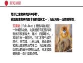+6.2++认识生物的多样性课件-2023-2024学年人教版生物八年级上册