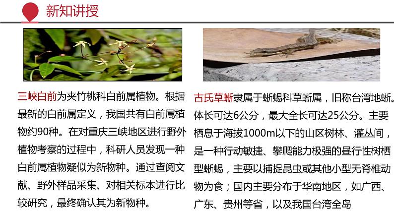 +6.2++认识生物的多样性课件-2023-2024学年人教版生物八年级上册05