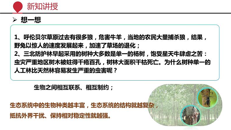 +6.2++认识生物的多样性课件-2023-2024学年人教版生物八年级上册06