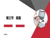 +5.4.3+真菌课件-2023-2024学年人教版生物八年级上册