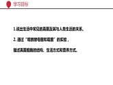 +5.4.3+真菌课件-2023-2024学年人教版生物八年级上册