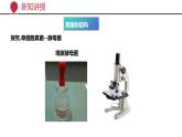 +5.4.3+真菌课件-2023-2024学年人教版生物八年级上册