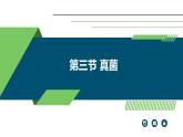+5.4.3+真菌课件-2023-2024学年人教版生物八年级上册 (1)