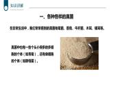 +5.4.3+真菌课件-2023-2024学年人教版生物八年级上册 (1)