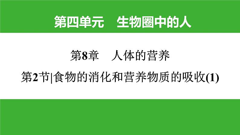 【新课标】北师大版生物七下8.2《食物的消化和营养物质的吸收(1)》课件01