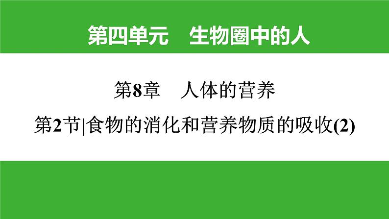 【新课标】北师大版生物七下8.2《食物的消化和营养物质的吸收(2)》课件第1页