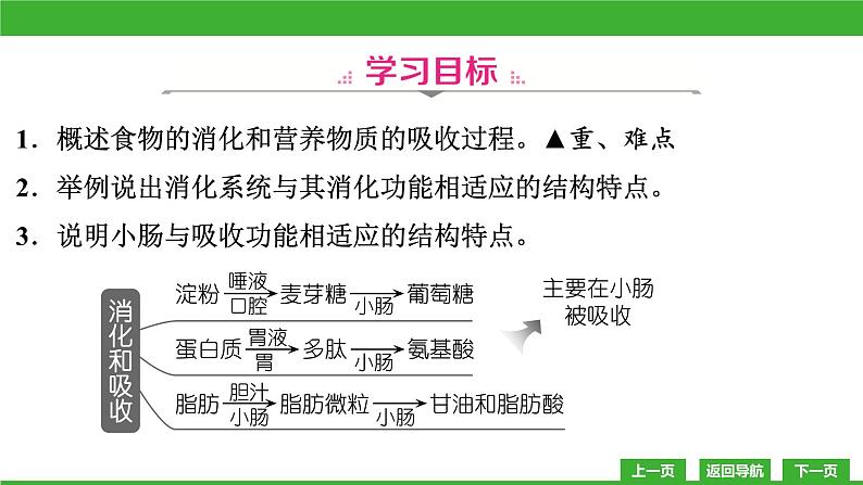 【新课标】北师大版生物七下8.2《食物的消化和营养物质的吸收(2)》课件第3页