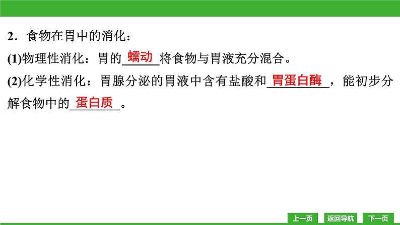 【新课标】北师大版生物七下8.2《食物的消化和营养物质的吸收(2)》课件第5页