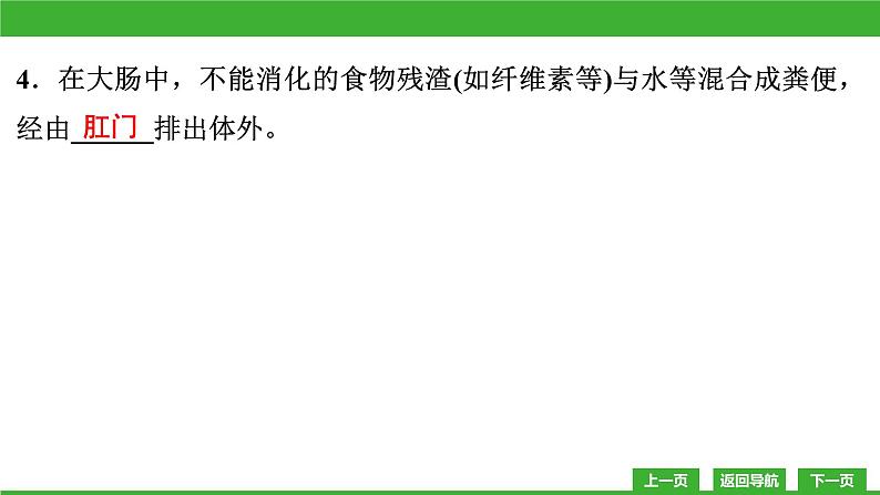【新课标】北师大版生物七下8.2《食物的消化和营养物质的吸收(2)》课件第7页