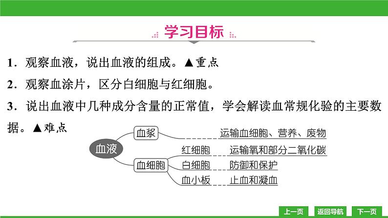 【新课标】北师大版生物七下9.1《血液(1)》课件05