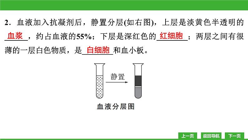 【新课标】北师大版生物七下9.1《血液(1)》课件07