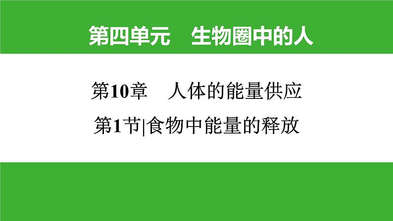 【新课标】北师大版生物七下10.1《食物中能量的释放》课件01