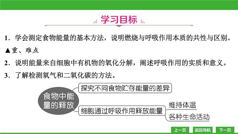 【新课标】北师大版生物七下10.1《食物中能量的释放》课件05