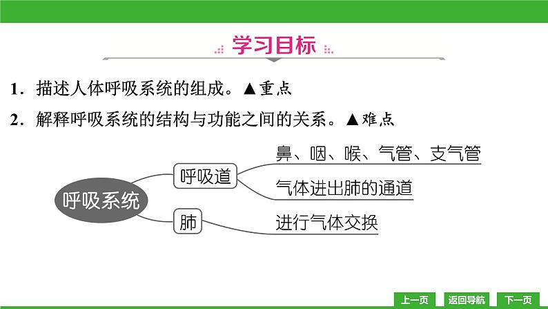 【新课标】北师大版生物七下10.2《人体细胞获得氧气的过程(1)》课件03