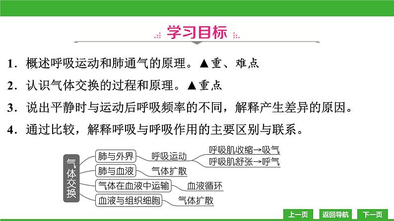 【新课标】北师大版生物七下10.2《人体细胞获得氧气的过程(2)》课件第3页