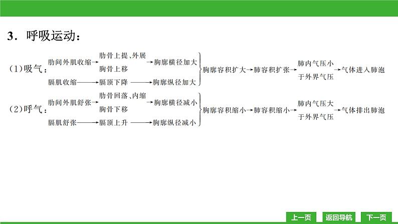 【新课标】北师大版生物七下10.2《人体细胞获得氧气的过程(2)》课件第8页