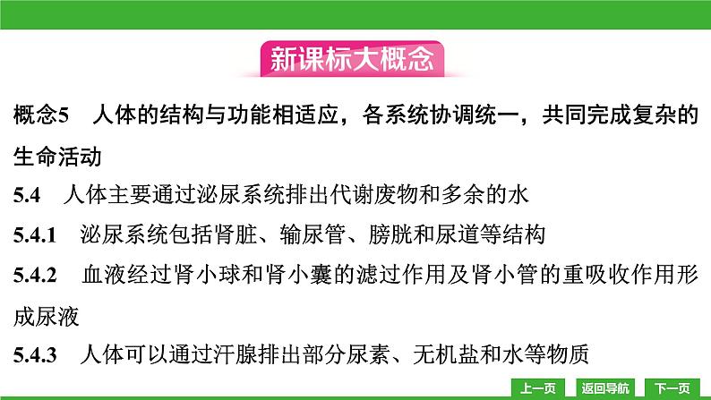 【新课标】北师大版生物七下11.1《人体产生的代谢废物》课件第3页