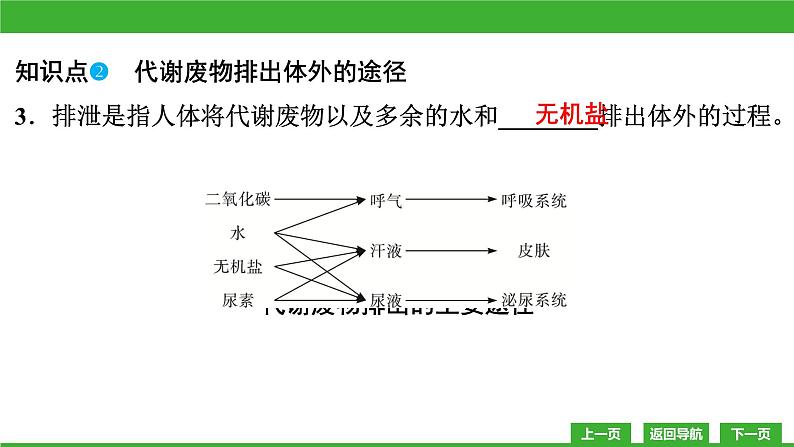 【新课标】北师大版生物七下11.1《人体产生的代谢废物》课件第6页