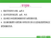 【新课标】北师大版生物七下12.2《感受器和感觉器官(2)》课件