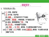 【新課標】北師大版生物七下12.2《感受器和感覺器官(2)》課件