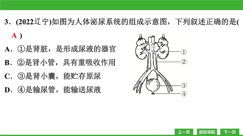 【新课标】北师大版生物七下  第11章章末复习（课件）第8页