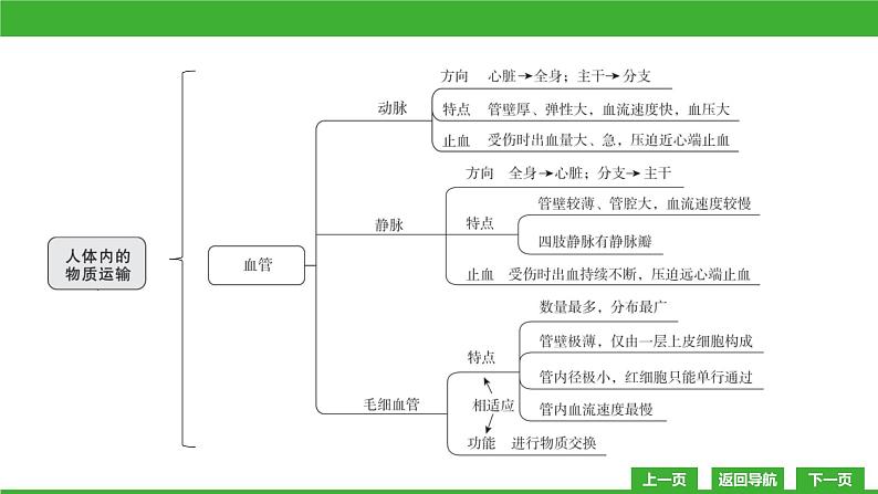 【新课标】北师大版生物七下 第9章章末复习（课件）04