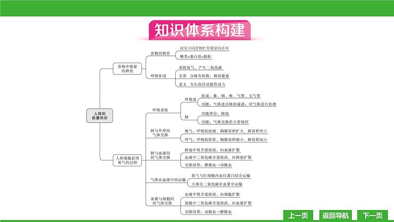 【新课标】北师大版生物七下 第10章章末复习（课件）03