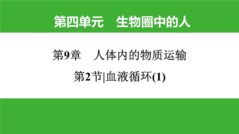 【新课标】北师大版生物七下9.2《血液循环(1)》课件01