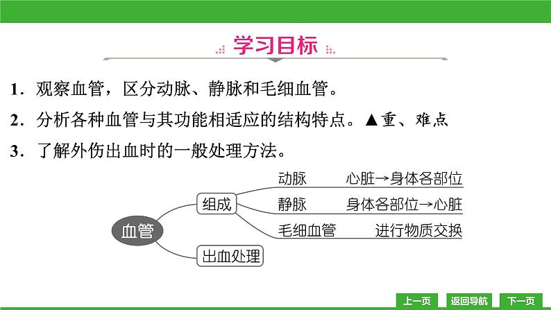 【新课标】北师大版生物七下9.2《血液循环(1)》课件03