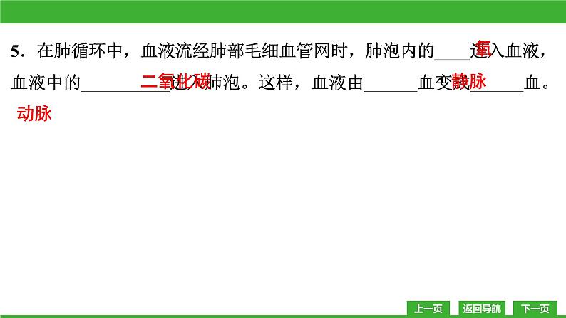 【新课标】北师大版生物七下9.2《血液循环(3)》课件07