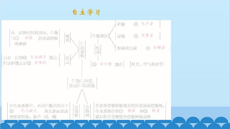 人教版生物七年级上册 1.2.2 生物与环境组成生态系统课件02