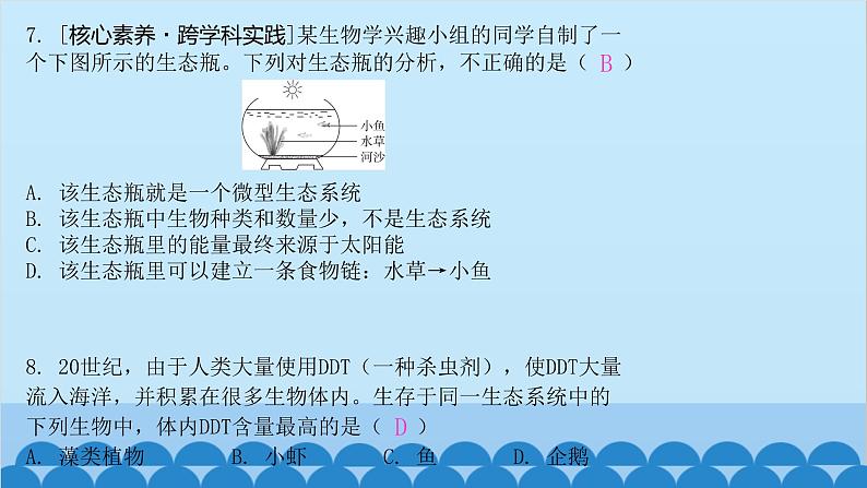 人教版生物七年级上册 1.2.2 生物与环境组成生态系统课件06