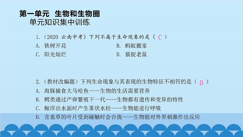 人教版生物七年级上册 第一单元 单元知识集中训练课件01