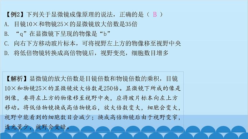 人教版生物七年级上册 2.1.1 练习使用显微镜课件04