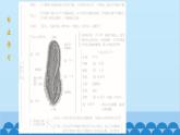 人教版生物七年级上册 2.2.4 单细胞生物课件