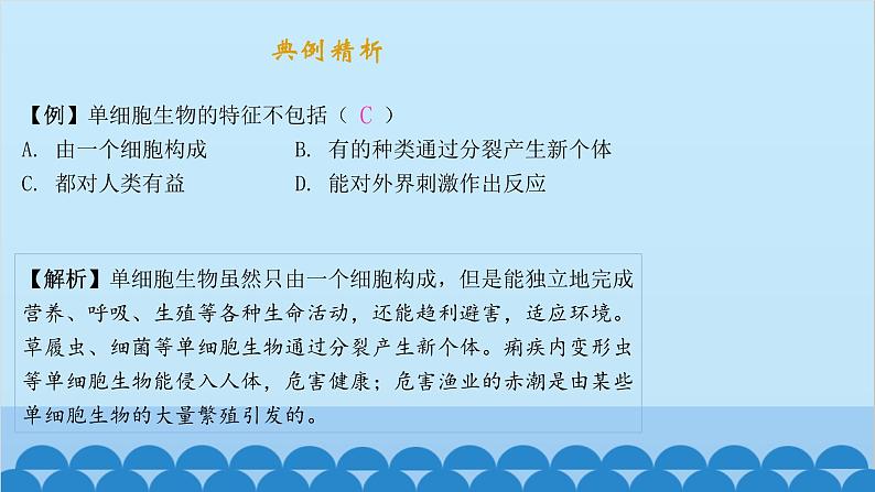 人教版生物七年级上册 2.2.4 单细胞生物课件第3页