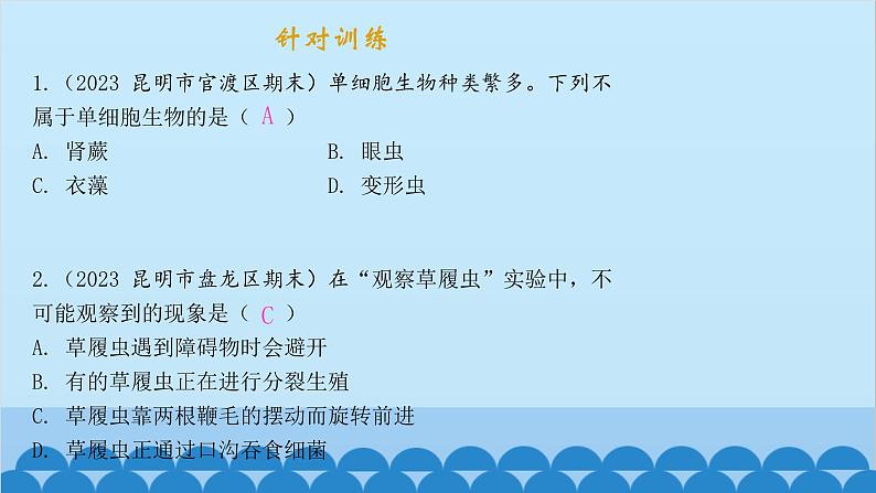 人教版生物七年级上册 2.2.4 单细胞生物课件第4页