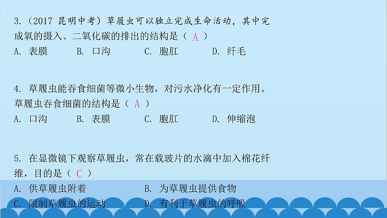 人教版生物七年级上册 2.2.4 单细胞生物课件第5页