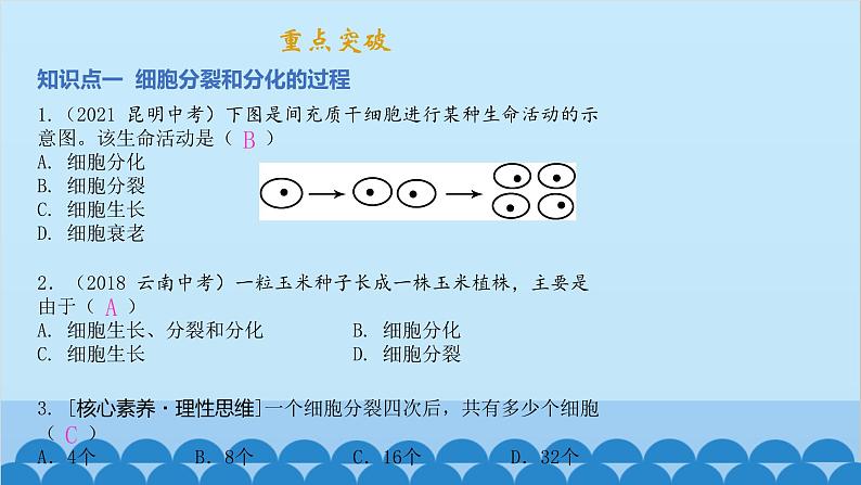 人教版生物七年级上册 第二单元第二章 章末总结课件第2页