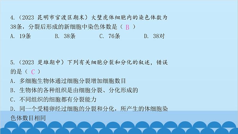 人教版生物七年级上册 第二单元第二章 章末总结课件第3页