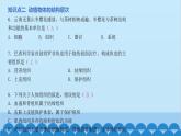 人教版生物七年級上冊 第二單元第二章 章末總結(jié)課件