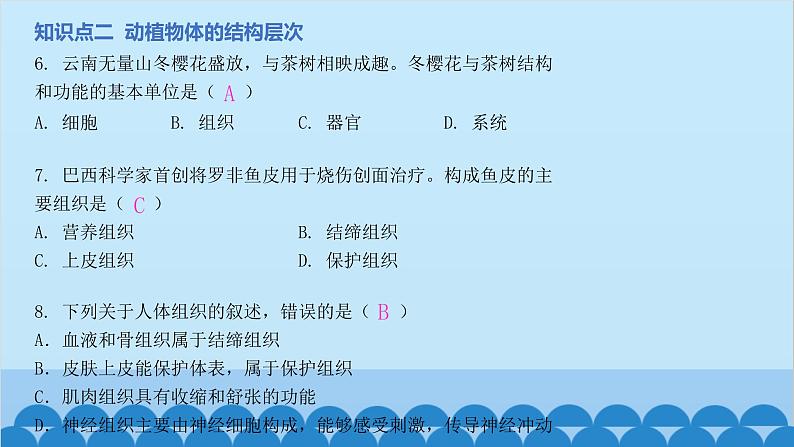 人教版生物七年级上册 第二单元第二章 章末总结课件第4页