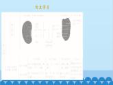 人教版生物七年级上册 3.1.2 种子植物课件