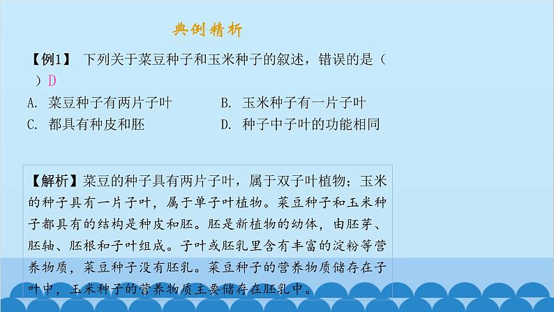 人教版生物七年级上册 3.1.2 种子植物课件03