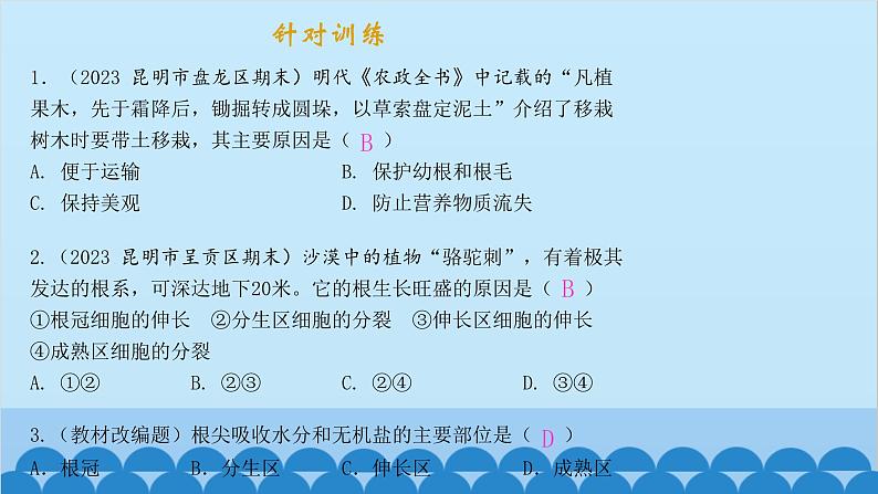 人教版生物七年级上册 3.2.2 植株的生长课件04