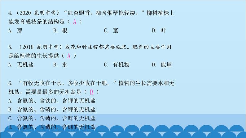 人教版生物七年级上册 3.2.2 植株的生长课件05